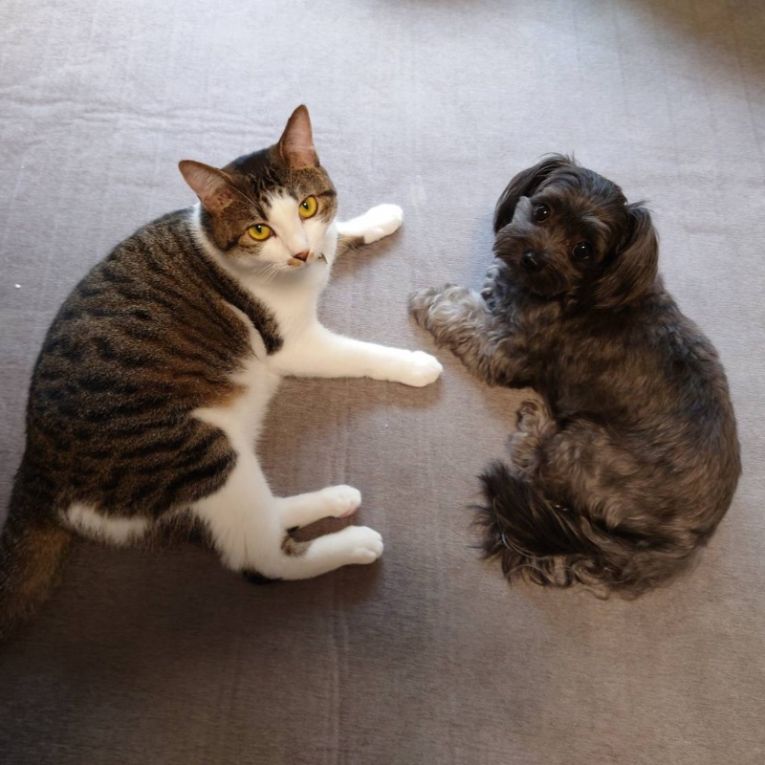 りん・こたろーちゃん