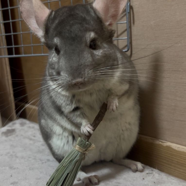 らむねちゃん