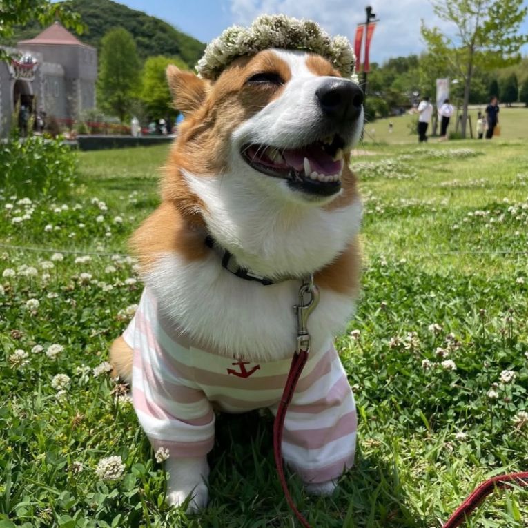 mugiちゃん