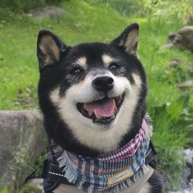 MAXちゃん
