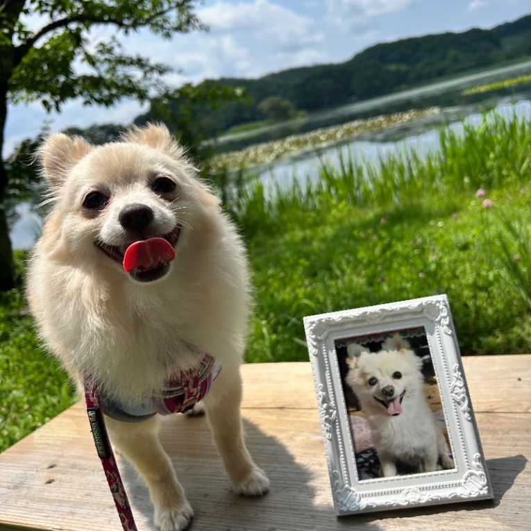 宗春ちゃん