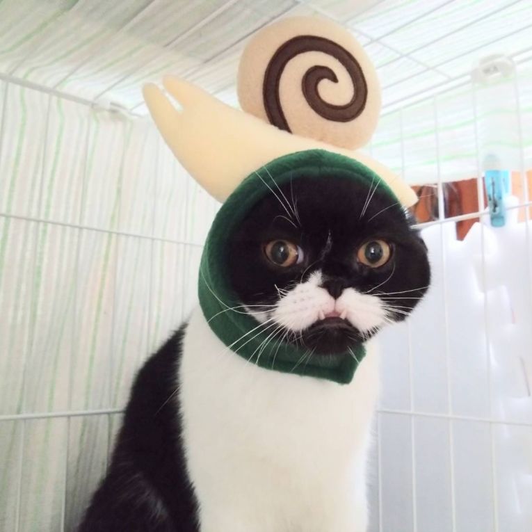 さいさんちゃん