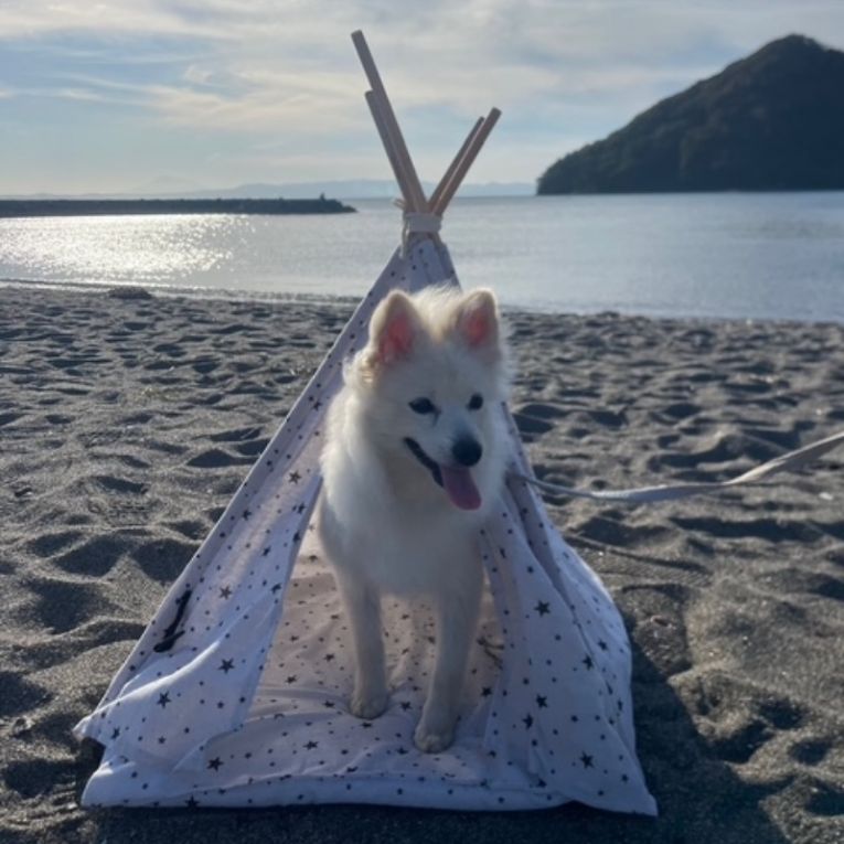 ちょっぱーちゃん