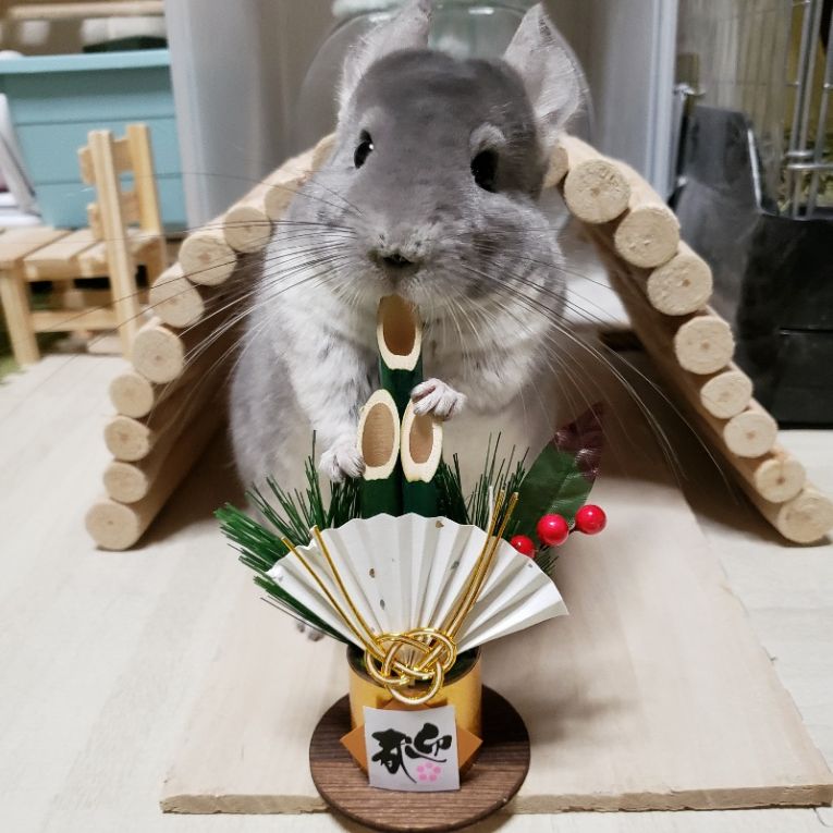 そらちゃん