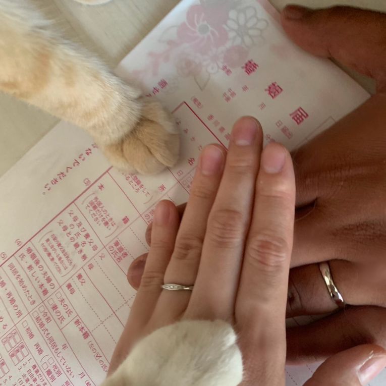 こたろうちゃん