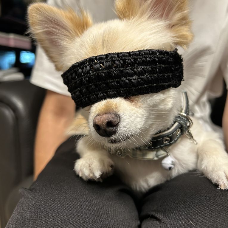 ケロちゃん