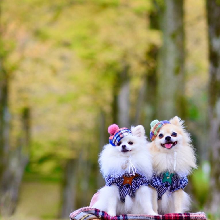 ルナ＆コトちゃん