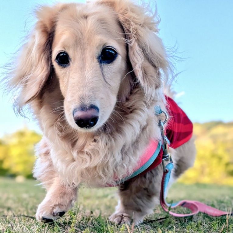 たっくんちゃん