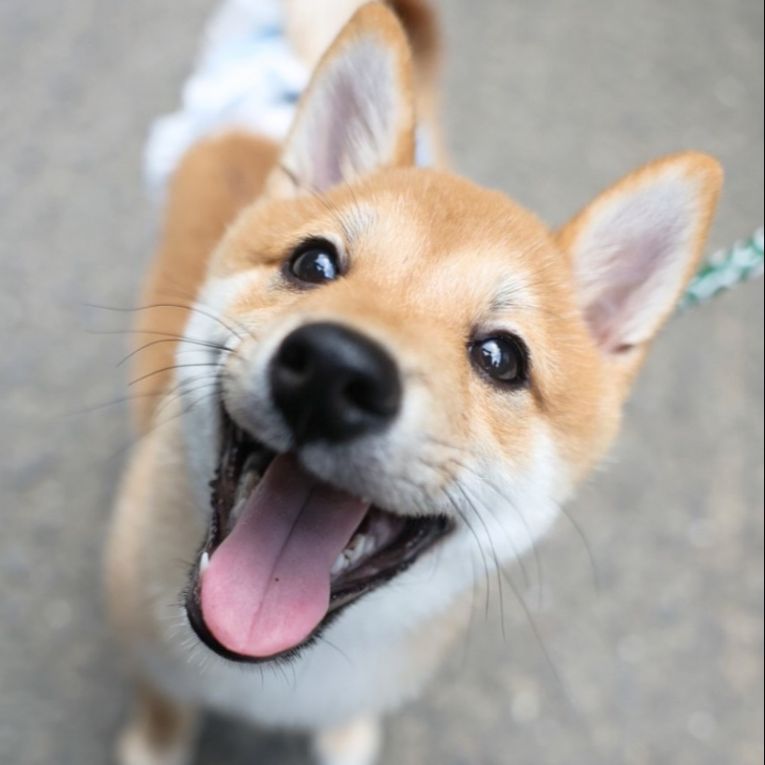 福ちゃん