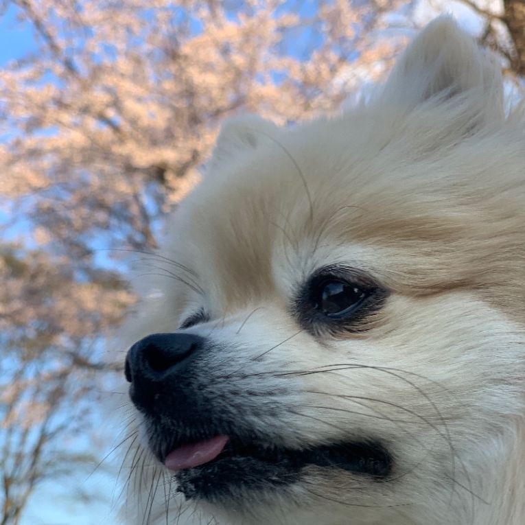 ムーちゃん
