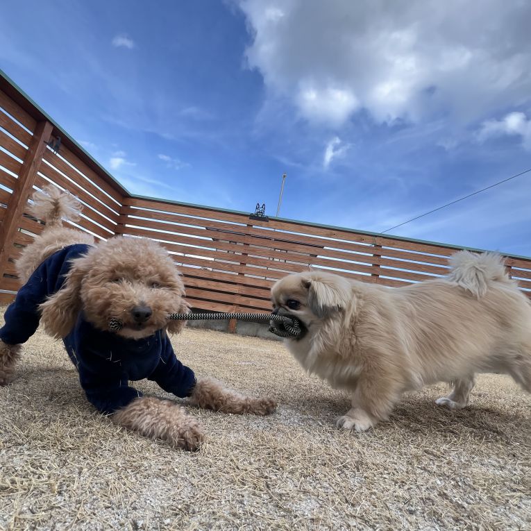 まるとモコちゃん