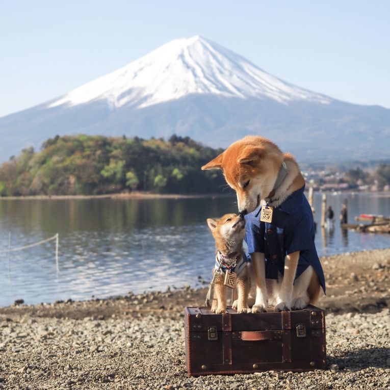 扇と辰ちゃん