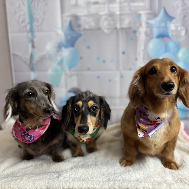 夏、涼、凪ちゃん