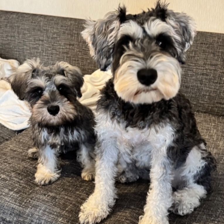 萌愛＆琉楠ちゃん