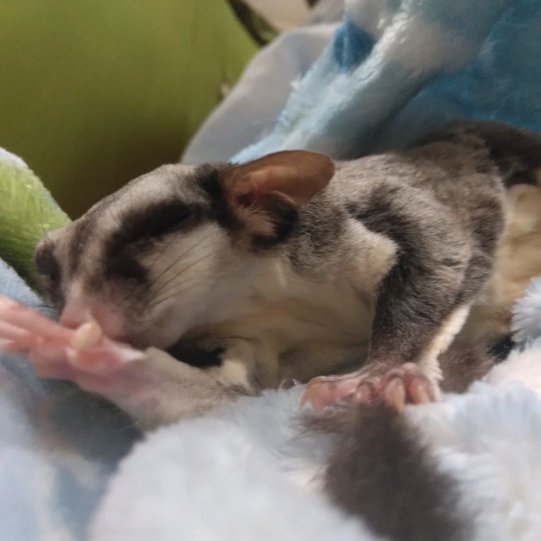 あいちゃん