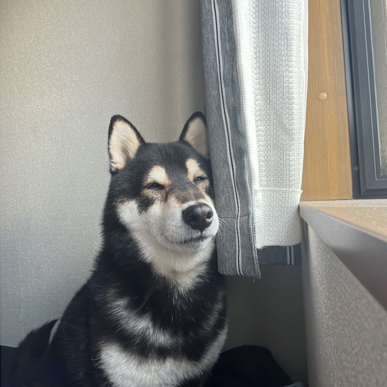 アヌビスちゃん