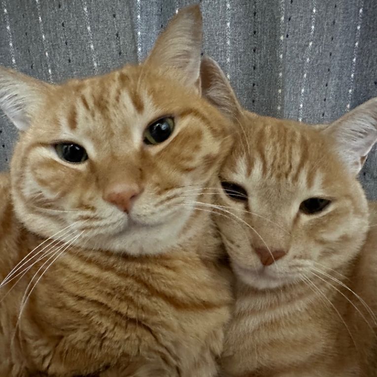 ろん＆りんちゃん