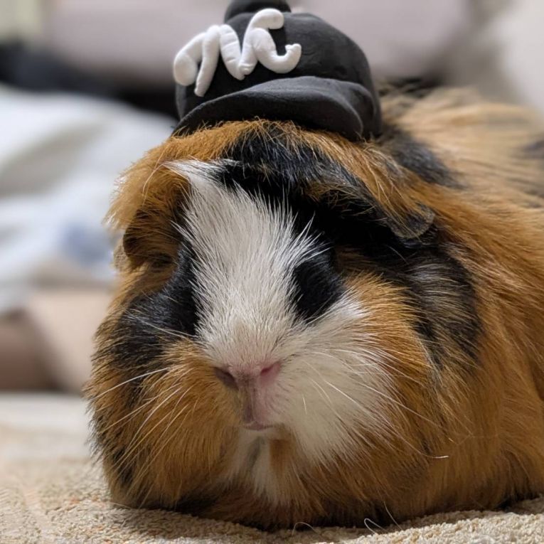 しし丸ちゃん