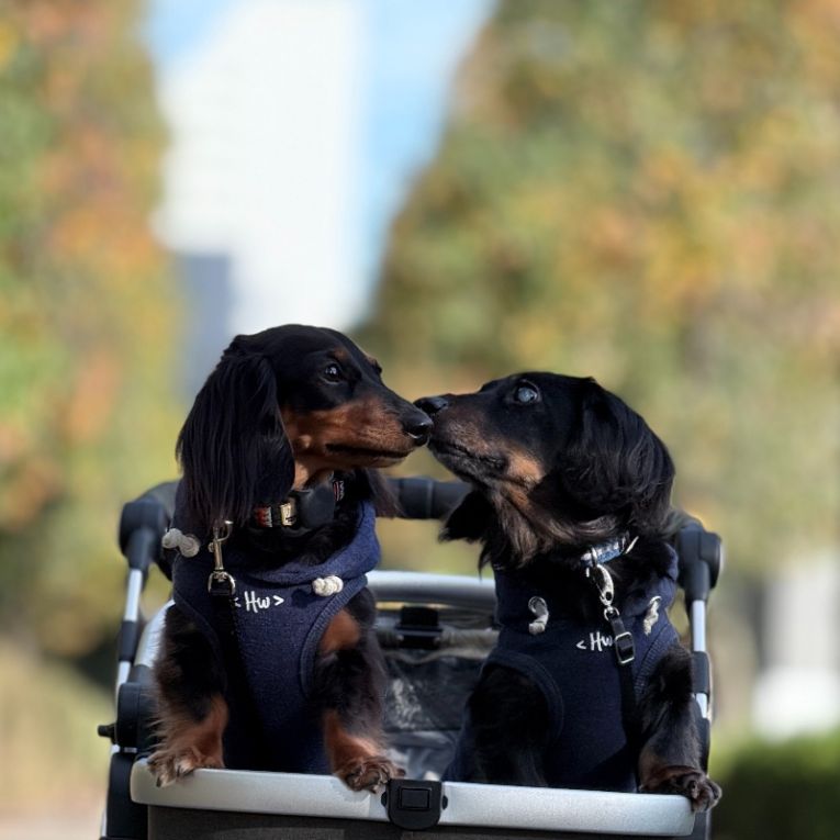 ぽかんとぺとこちゃん