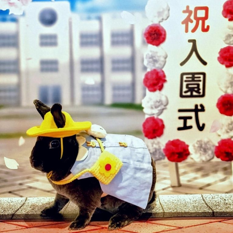あるちゃん