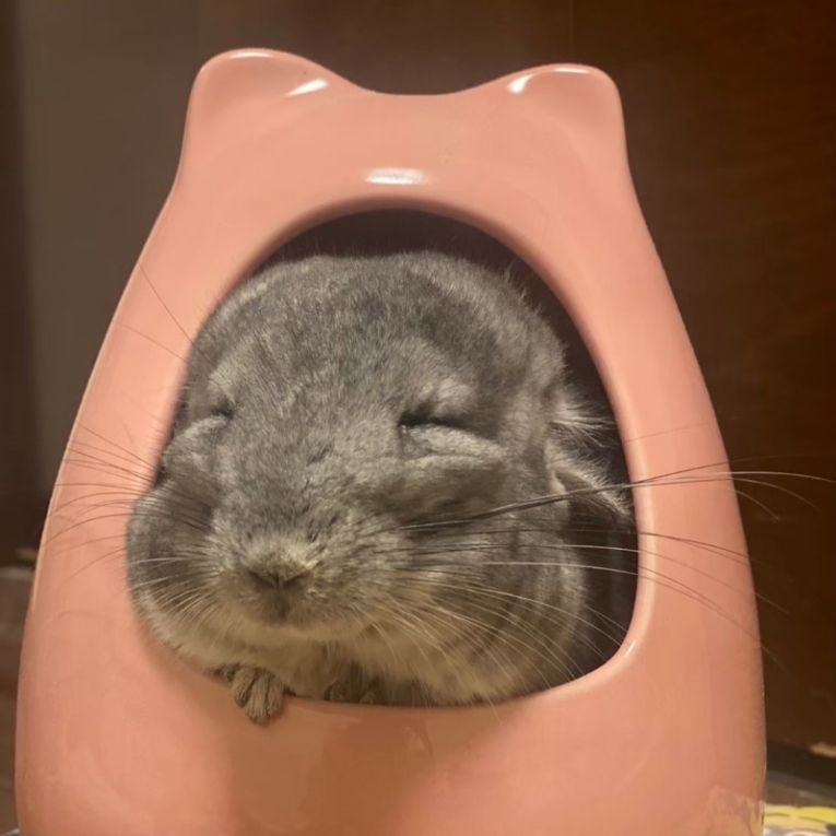 ロンロンちゃん
