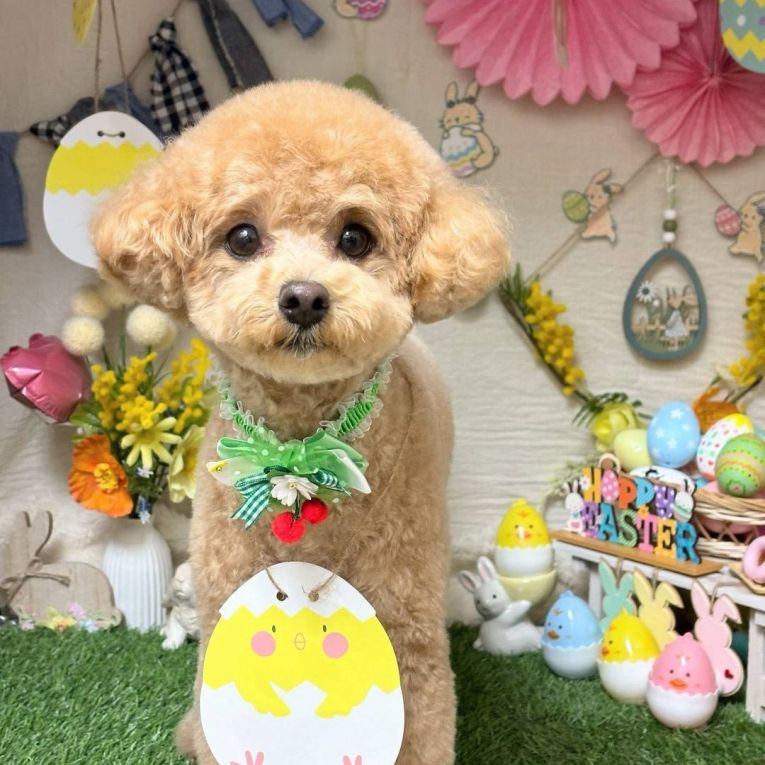 むぎちゃん