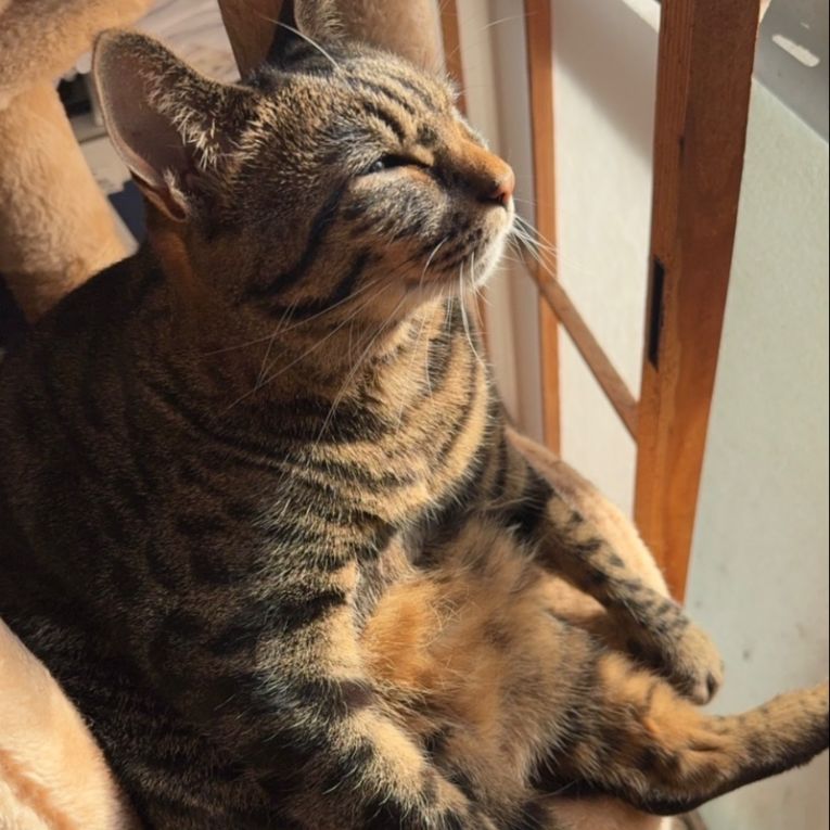 まろんちゃん