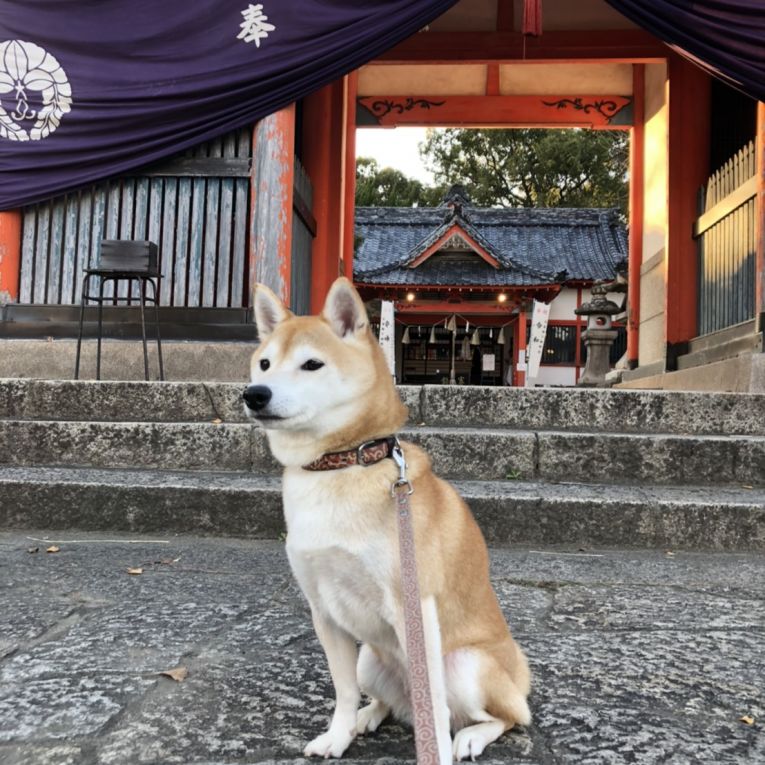 こうめちゃん