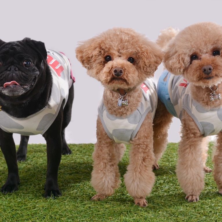 シェリ、ラキちゃん