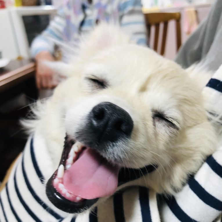 ハル&ウタちゃん