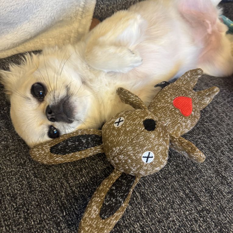 CHILLちゃん