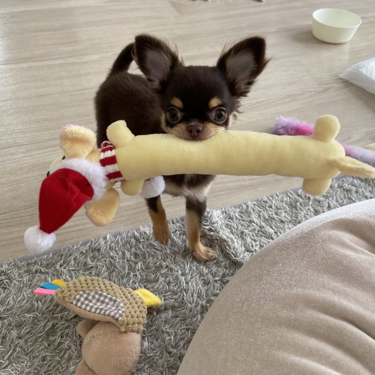 ゆっけ&うにちゃん