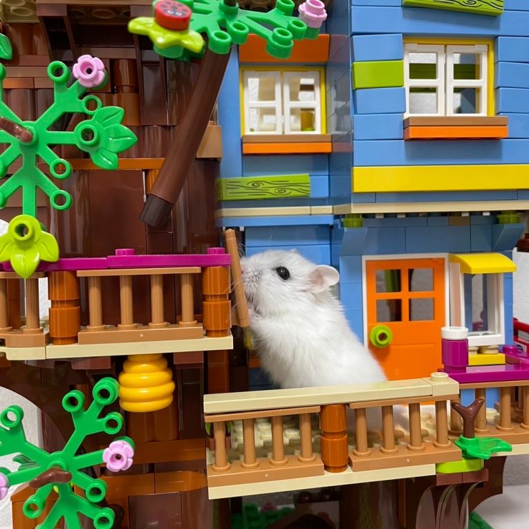 だいふくちゃん