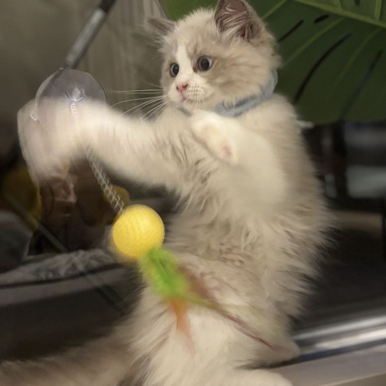 そらちゃん