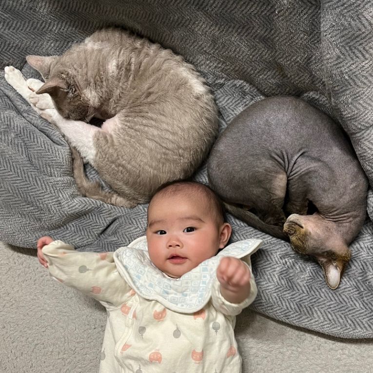 エルサとよつばちゃん
