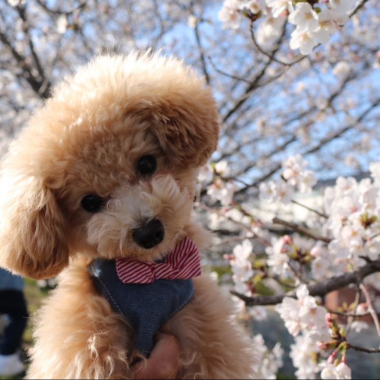 みかんちゃん