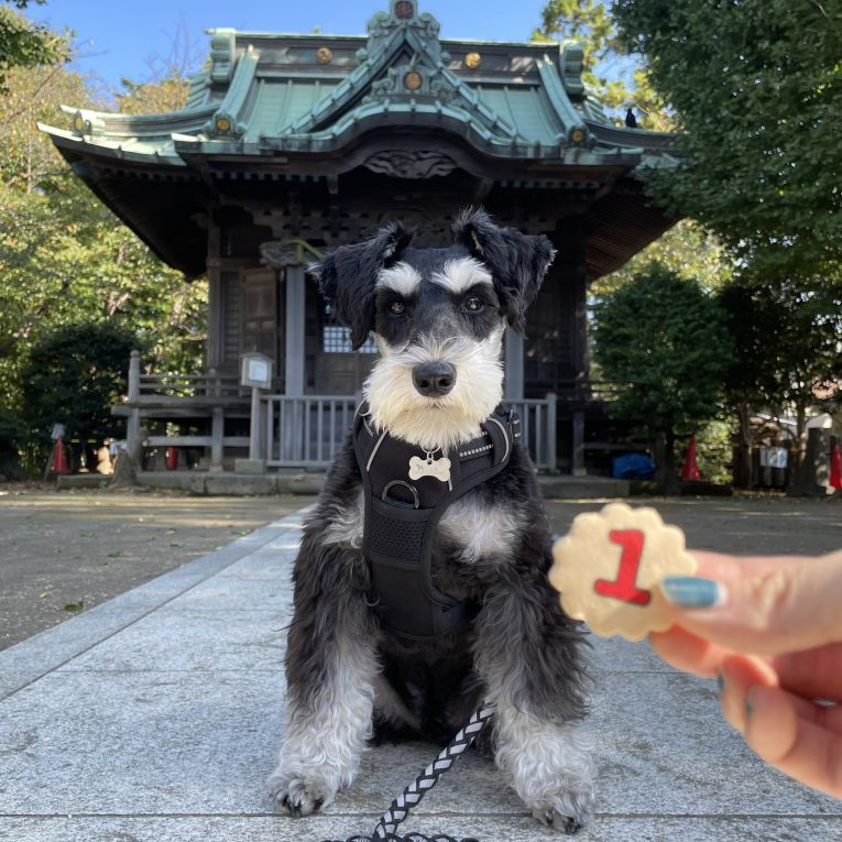 じじさんちゃん