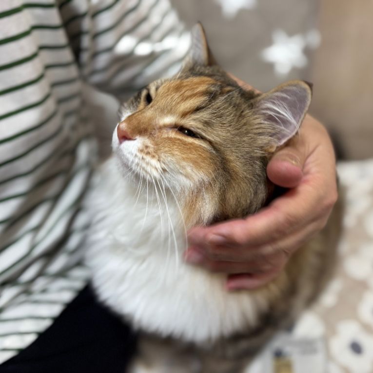 シェリちゃん