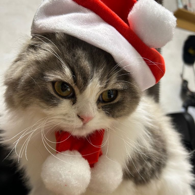 ジャスミンちゃん