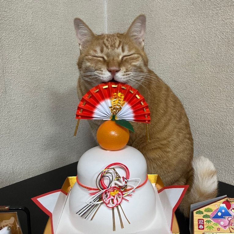 ももちゃん