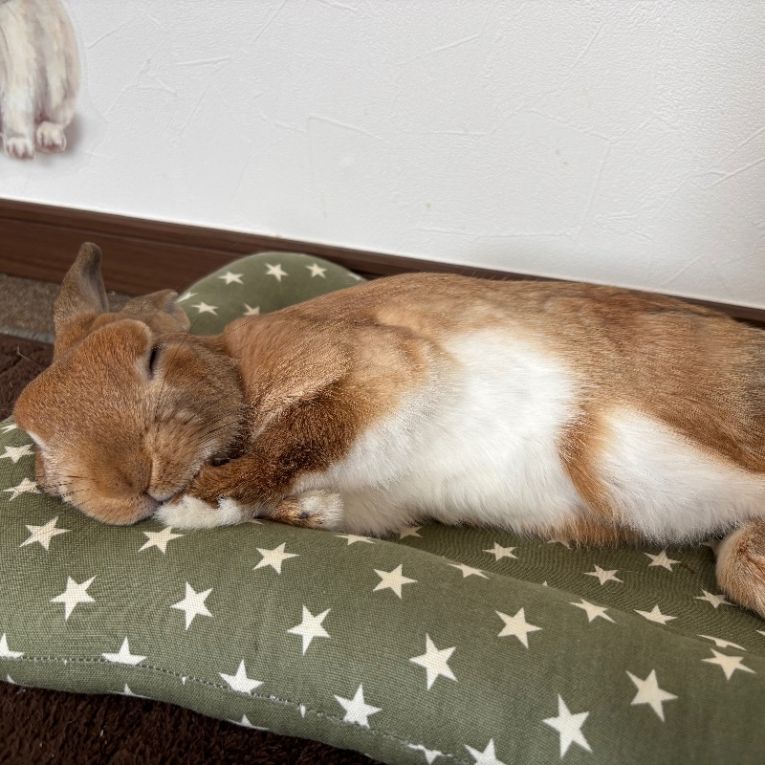 もぐちゃん
