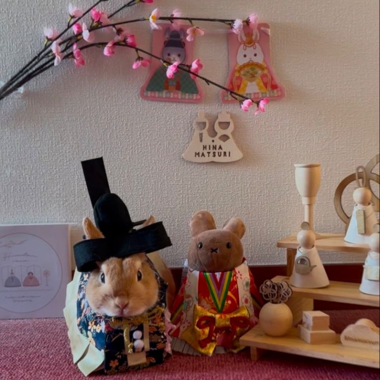 ロアくんちゃん