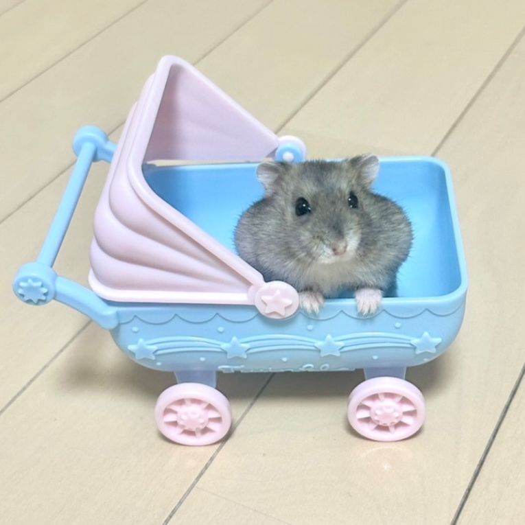 きゃぷたろうちゃん