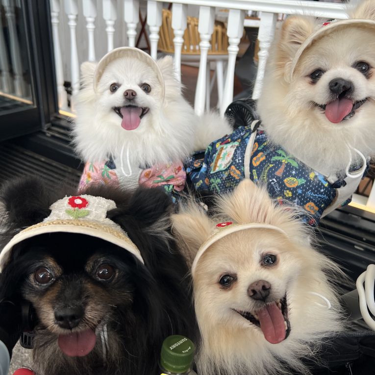 小太郎、大輔、小春、恒輔ちゃん