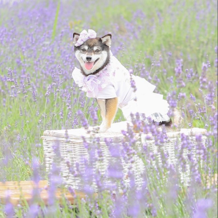 まなちゃん