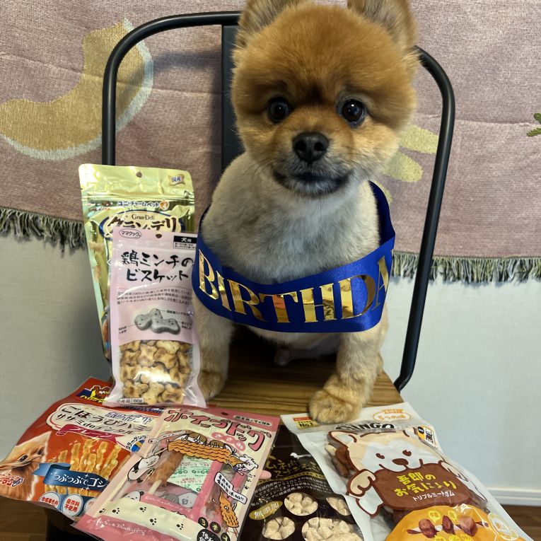 ぽんみ　わさびちゃん