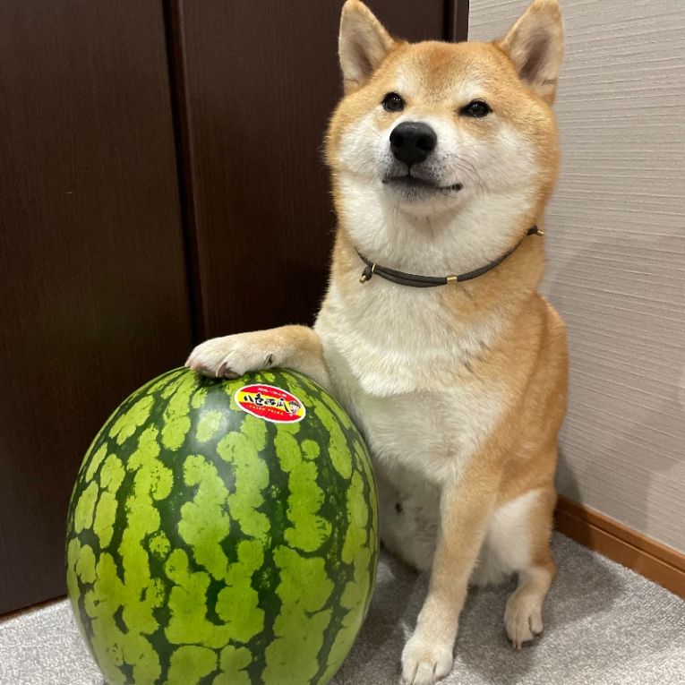 禅ちゃん
