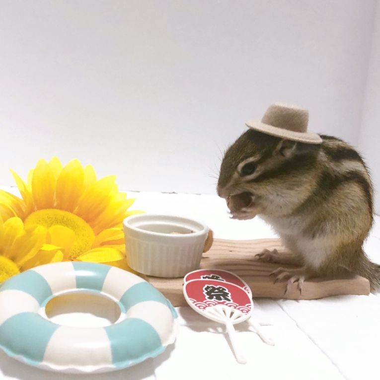 じゃじゃ丸ちゃん