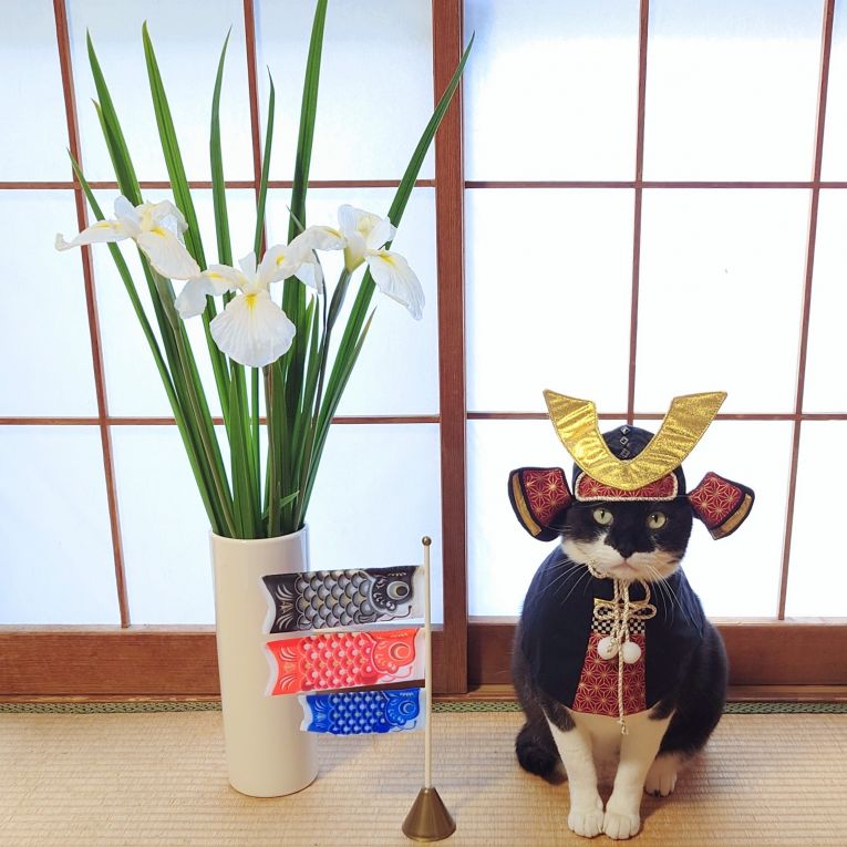 ちーくんちゃん