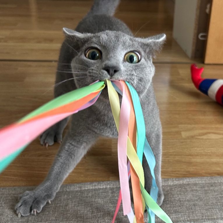 ルーカスちゃん